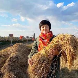 佳丰富硒农产品(丰硒农业)-硒宝网