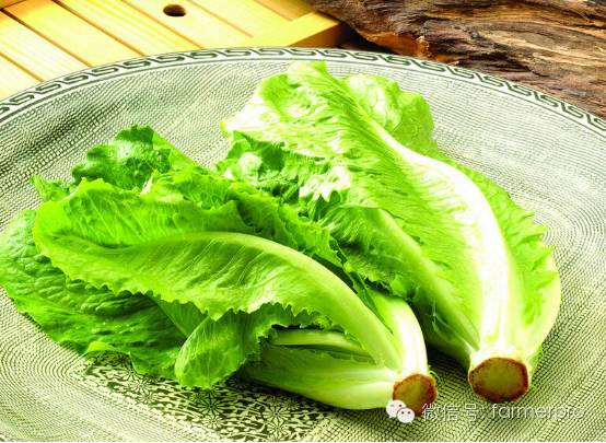 上海富硒农产品（富硒农产品企业）-硒宝网