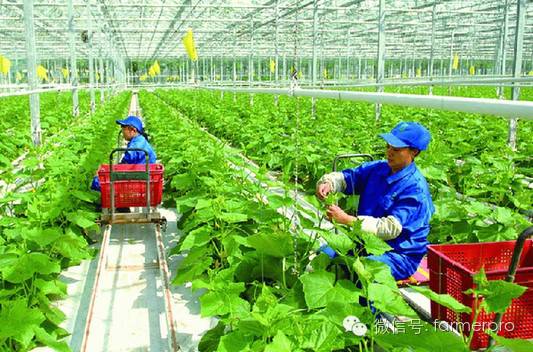 上海富硒农产品（富硒农产品企业）-硒宝网