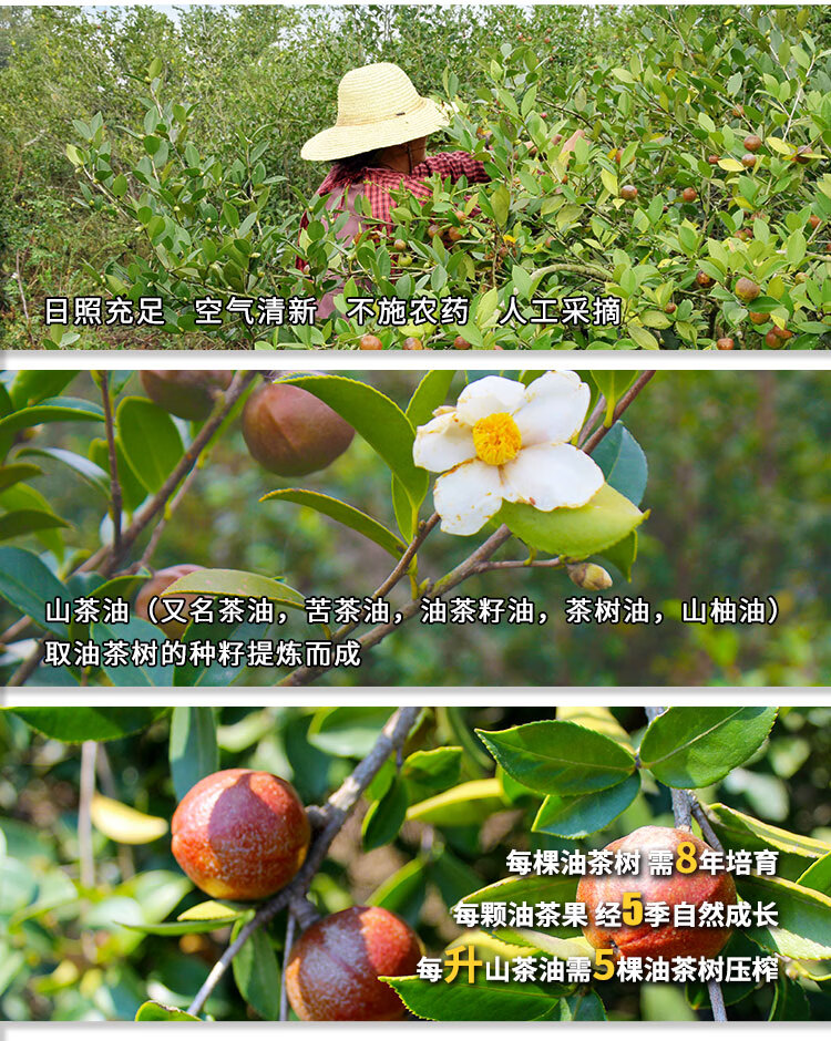 茶油含硒农产品（茶油含硒吗）-硒宝网