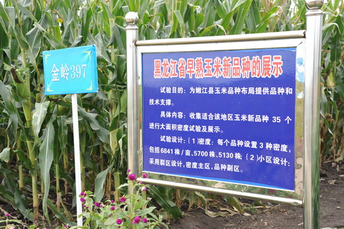 肇东硒望农产品（硒旺源农业）-硒宝网