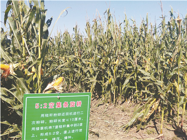 肇东硒望农产品（硒旺源农业）-硒宝网