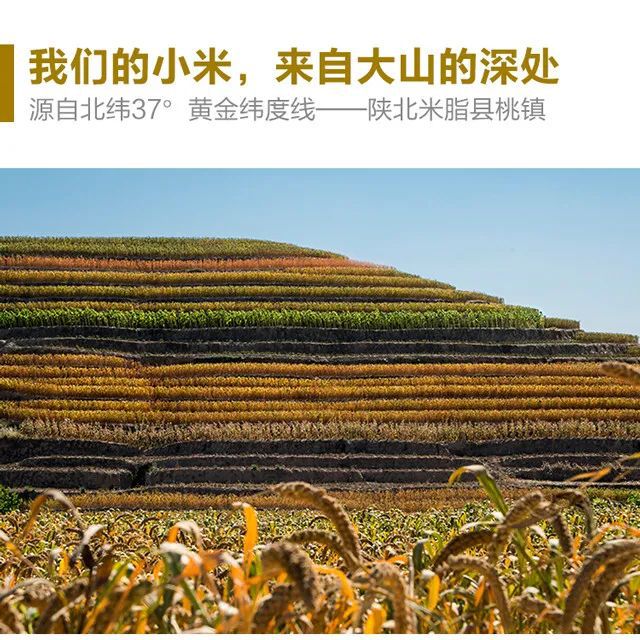 科大硒粮农产品(农科院的硒多少钱一盒)-硒宝网