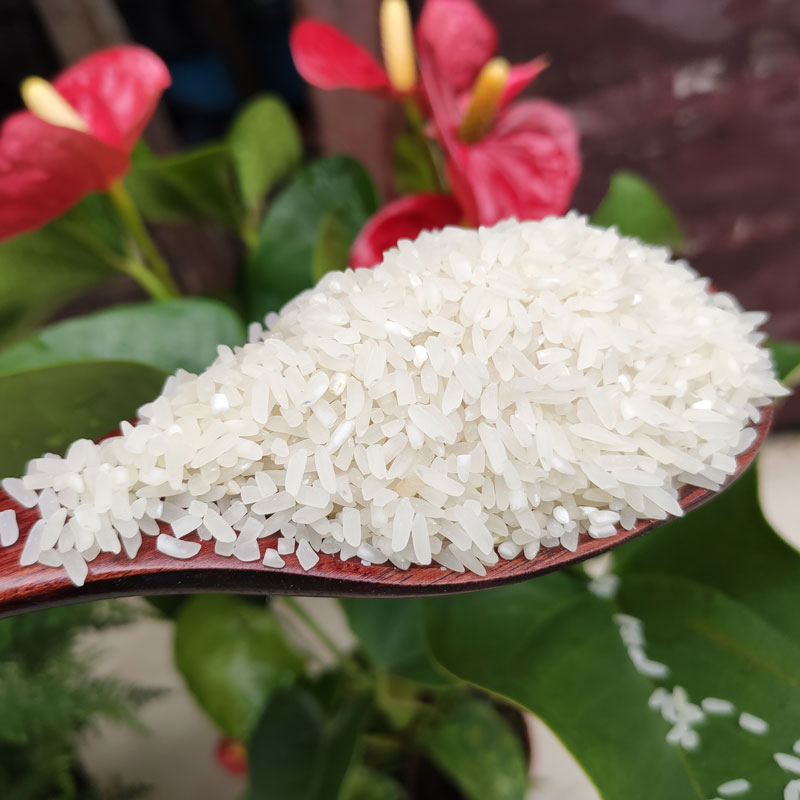 硒谷幽兰农产品（幽谷农业）-硒宝网