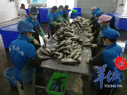 珍硒特色农产品（珍硒源农业）-硒宝网