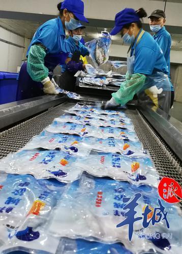 珍硒特色农产品（珍硒源农业）-硒宝网