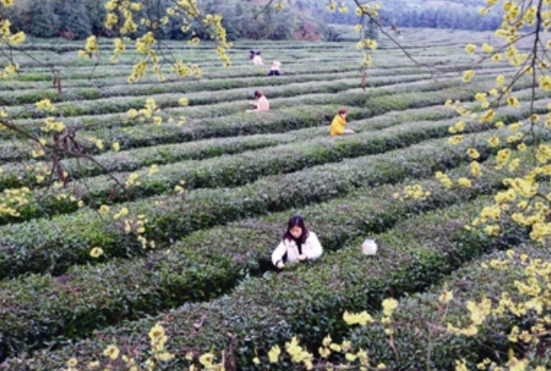 珍硒特色农产品(珍硒山庄)-硒宝网