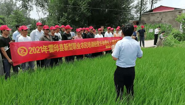 珍硒特色农产品（珍农特色产品硒含量）-硒宝网