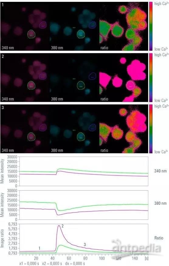 农产品含硒测试（硒含量检测）-硒宝网