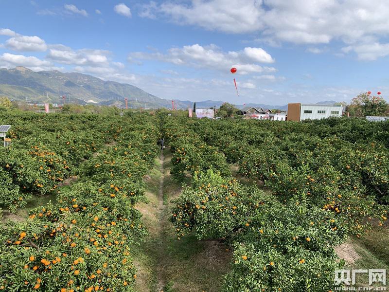 湖北硒盟农产品(湖北硒盟健康科技有限公司)-硒宝网