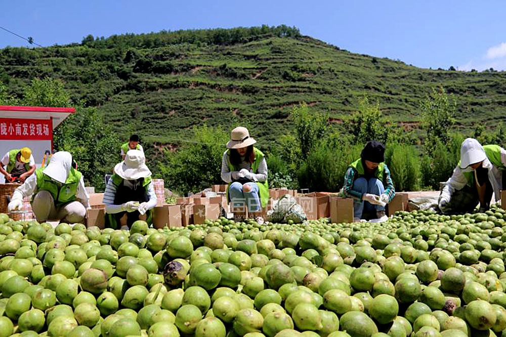 晋中富硒农产品（富硒农产品专卖店）-硒宝网