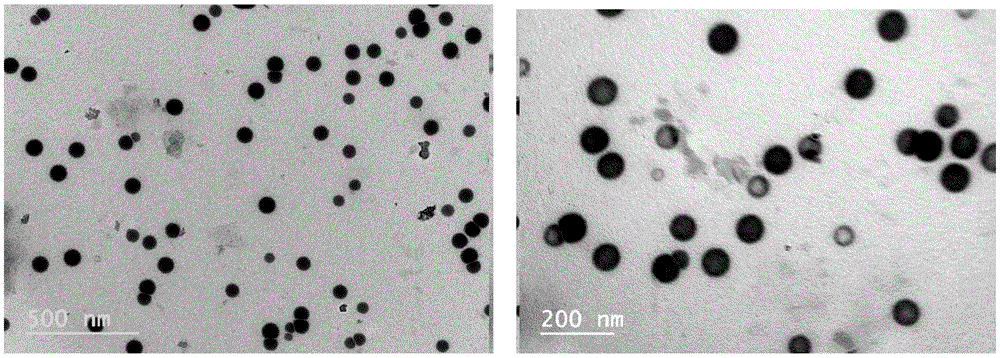 纳米硒与农产品(纳米农产品硒含量多少)-硒宝网