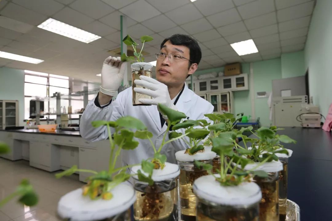 中科大硒谷产品(中科硒谷科技有限公司)-硒宝网