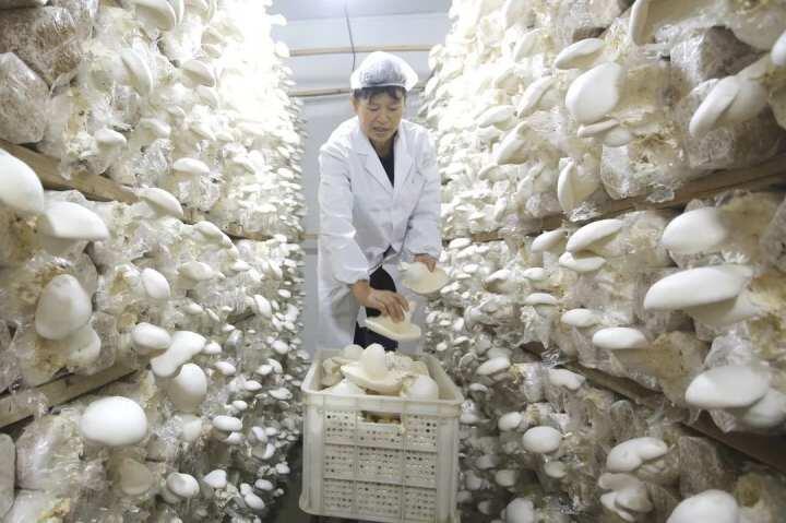 宜丰富硒农产品(富硒农产品销售平台)-硒宝网