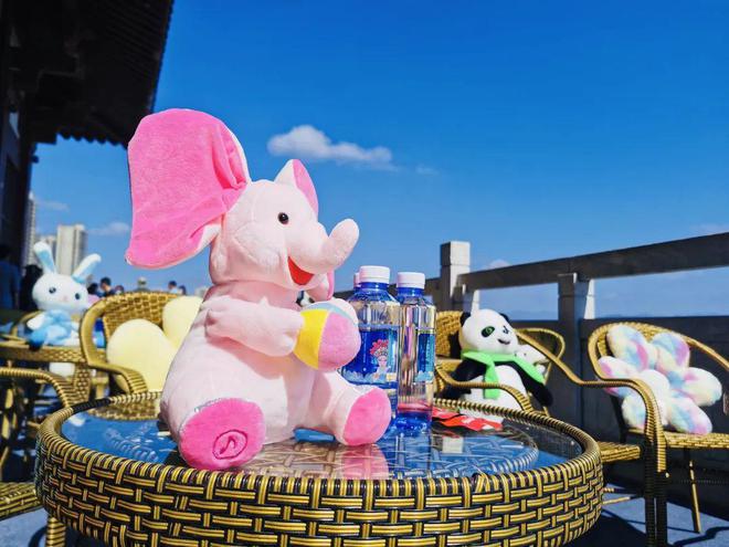 好硒农产品颁奖(硒领域最高奖项)-硒宝网