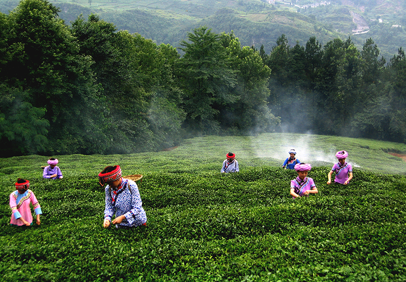 华中富硒农产品(中农富硒工程)-硒宝网