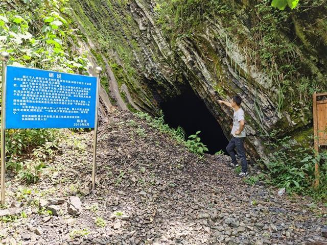 硒产品精深加工(加工精产品硒含量高吗)-硒宝网