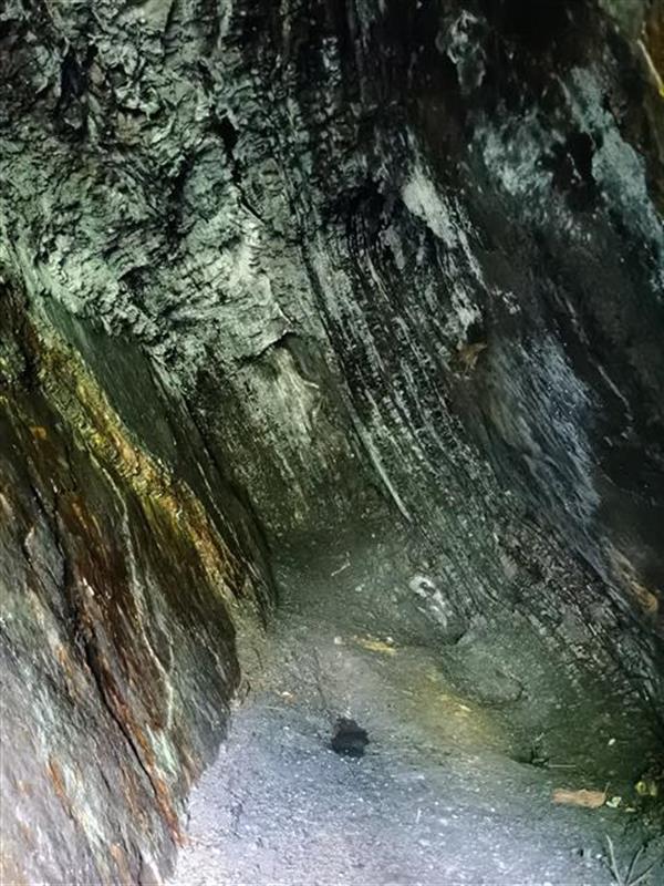 硒产品精深加工(加工精产品硒含量高吗)-硒宝网