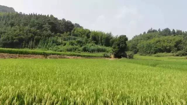 中科大硒谷产品(中科大硒谷科技)-硒宝网