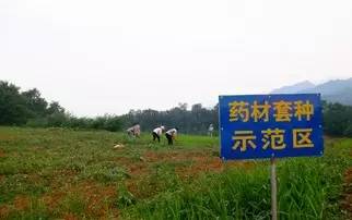 中科大硒谷产品(中科大硒谷科技)-硒宝网