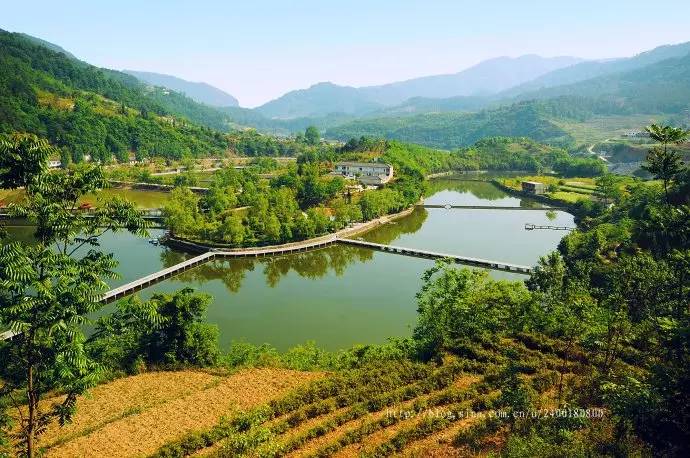 中科大硒谷产品(中科大硒谷科技)-硒宝网