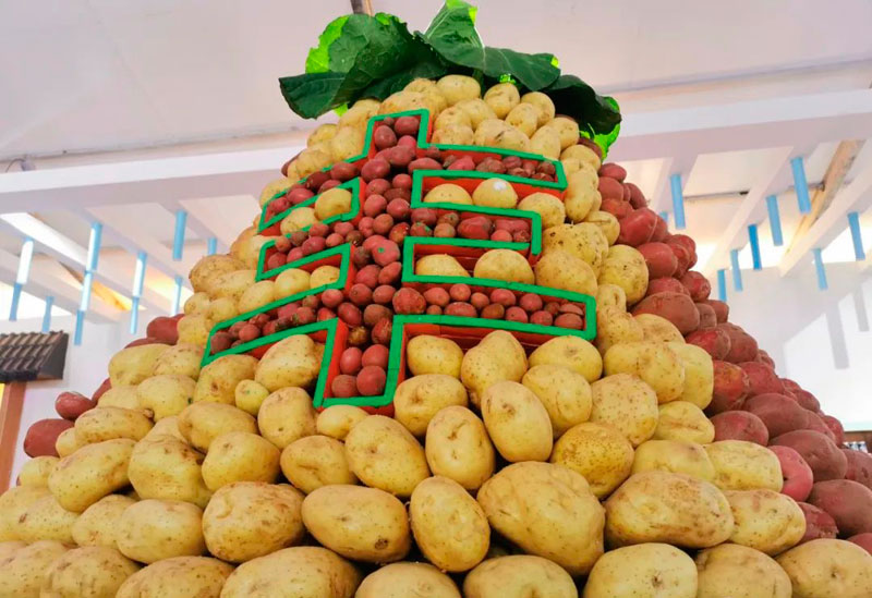 好硒农产品颁奖(硒的奖项)-硒宝网