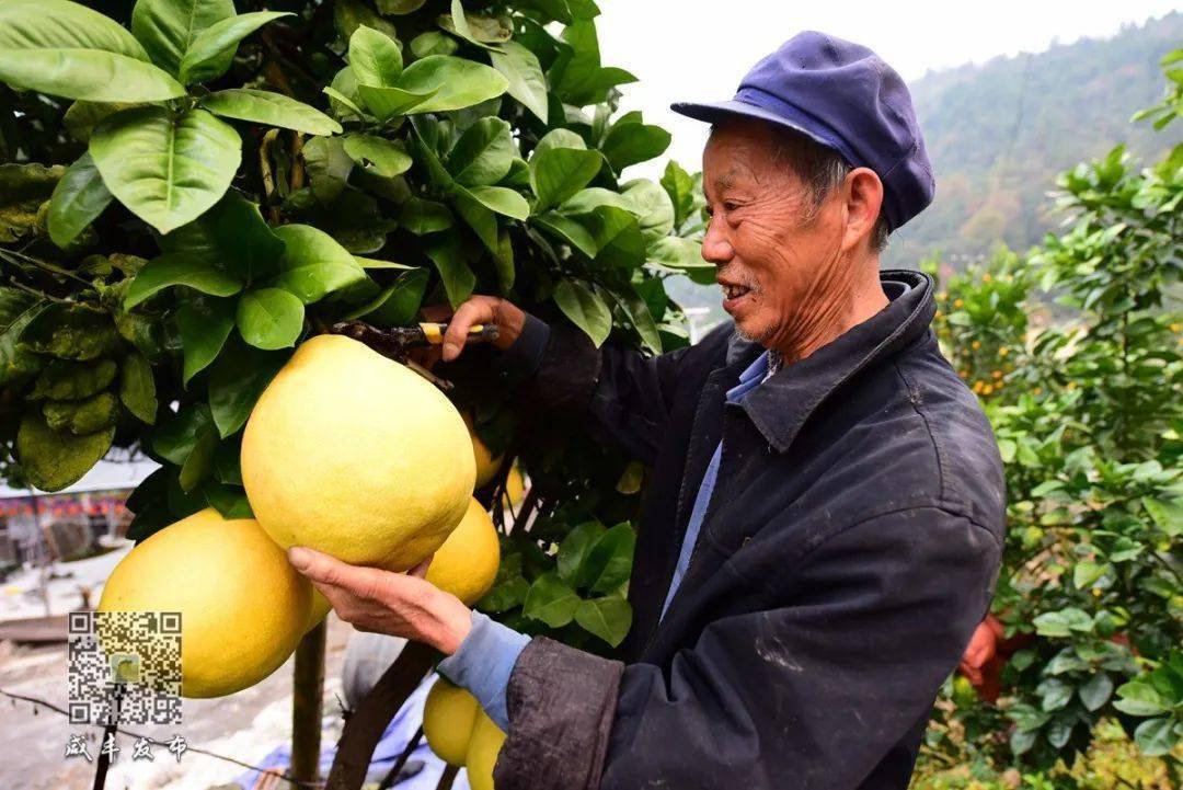 硒源珍宝农产品（珍宝农源产品硒含量高吗）-硒宝网