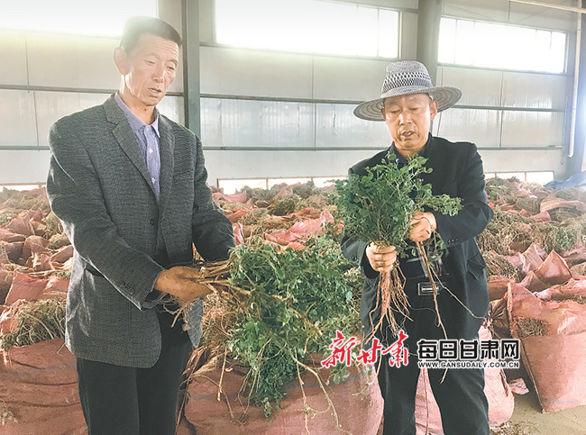 塬头贡的硒产品(塬头贡产品多少钱)-硒宝网