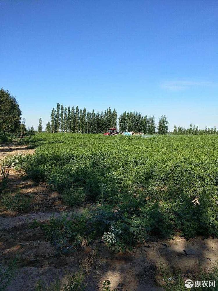 塬头贡的硒产品(塬头贡产品多少钱)-硒宝网