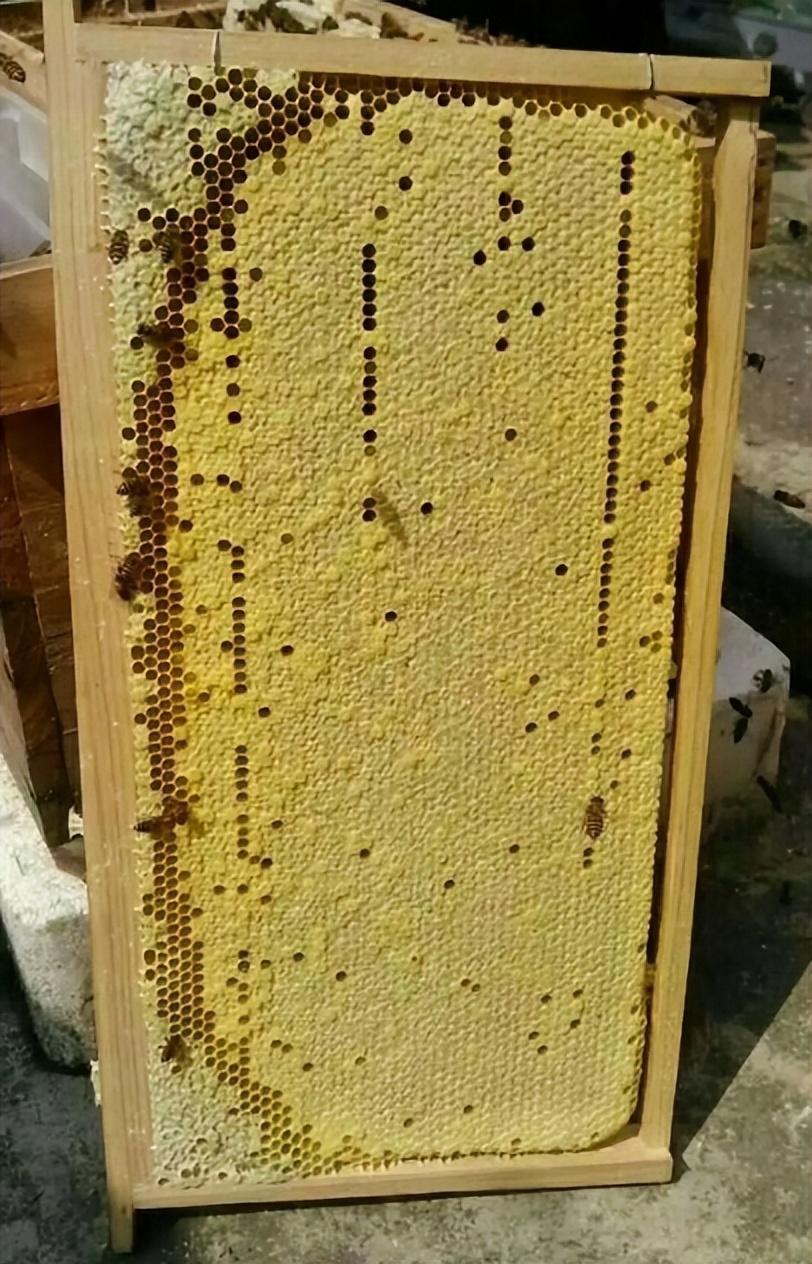 佳硒亚官网产品(亚佳集团)-硒宝网