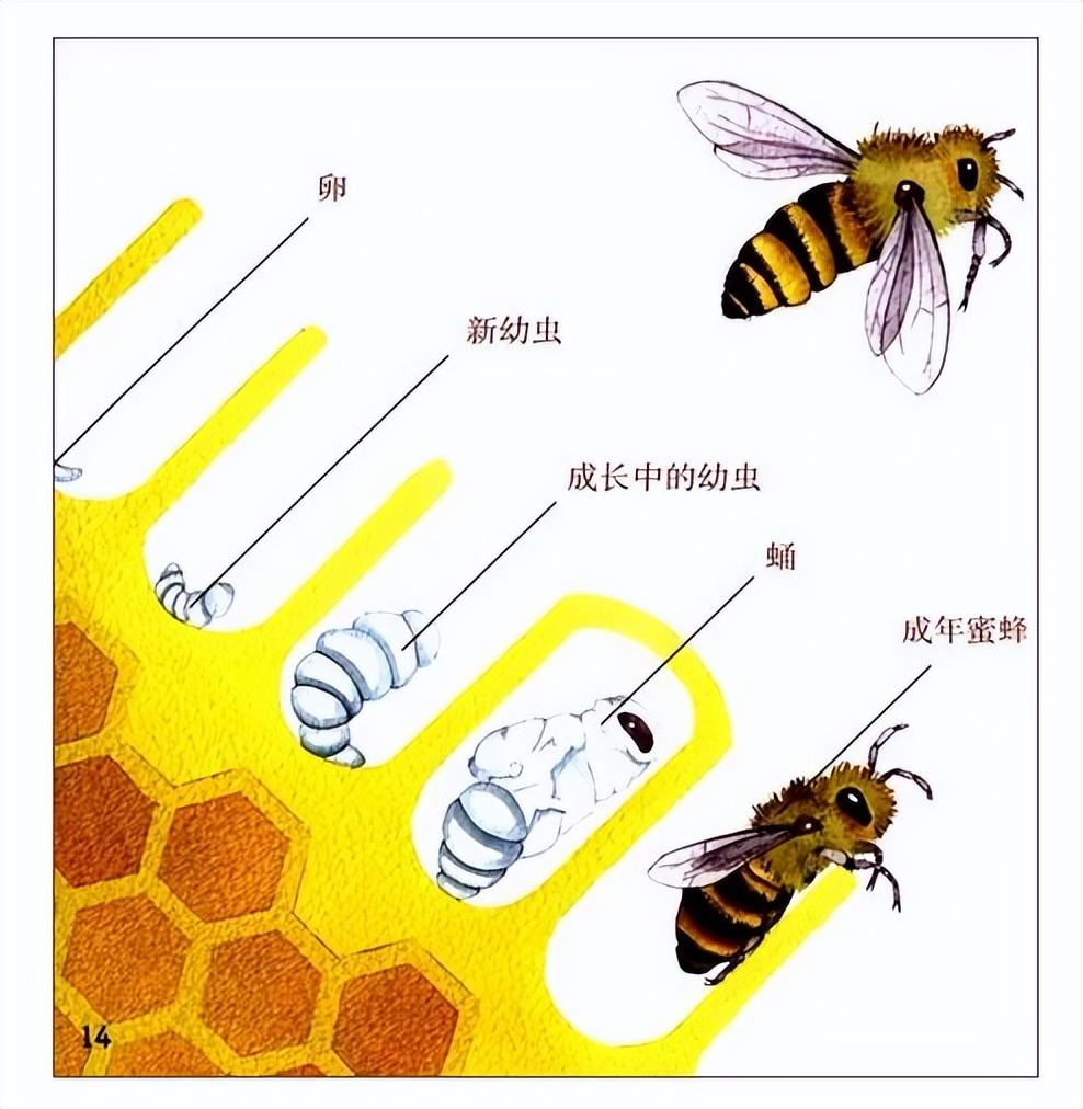 佳硒亚官网产品(亚佳集团)-硒宝网