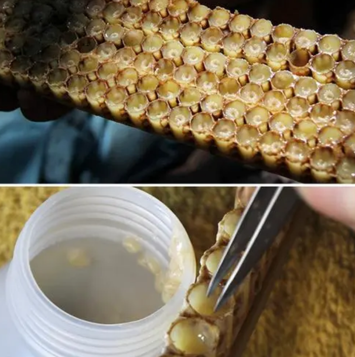 佳硒亚官网产品(亚佳集团)-硒宝网