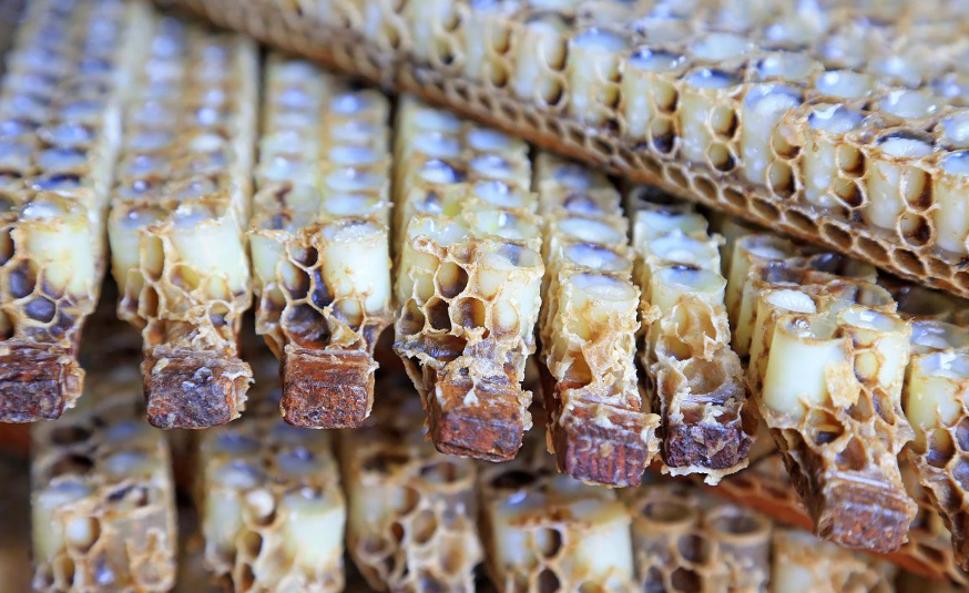 佳硒亚官网产品(亚佳集团)-硒宝网