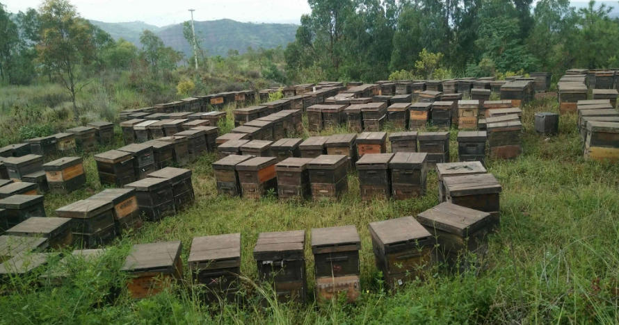 佳硒亚官网产品(亚佳集团)-硒宝网