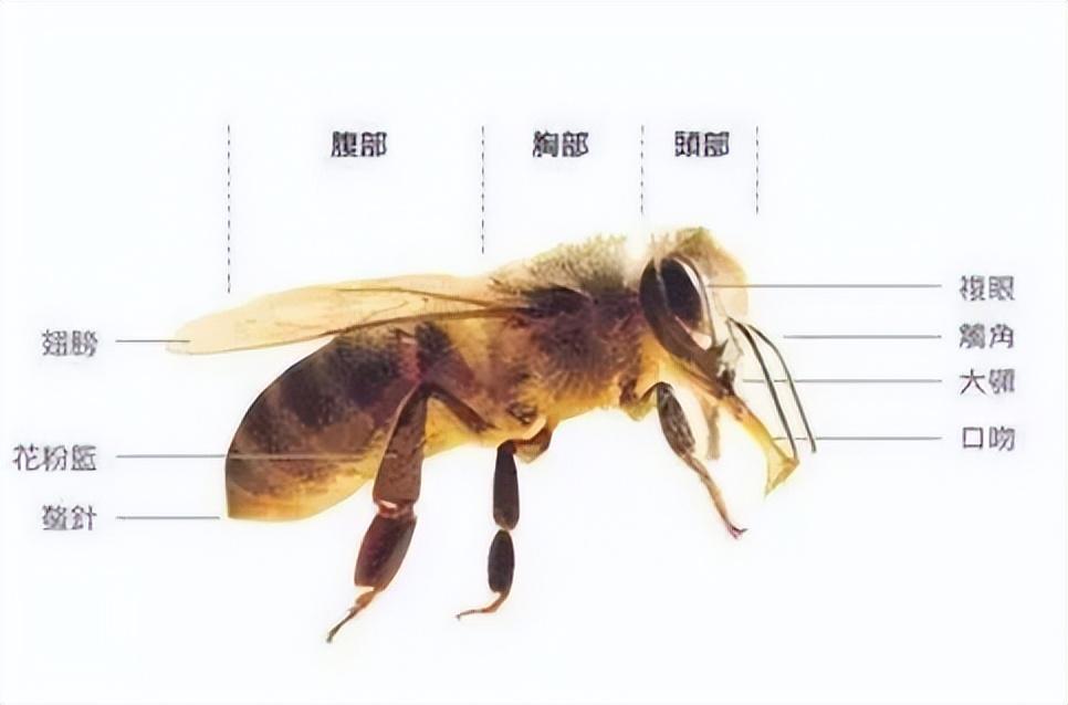 佳硒亚官网产品(亚佳集团)-硒宝网