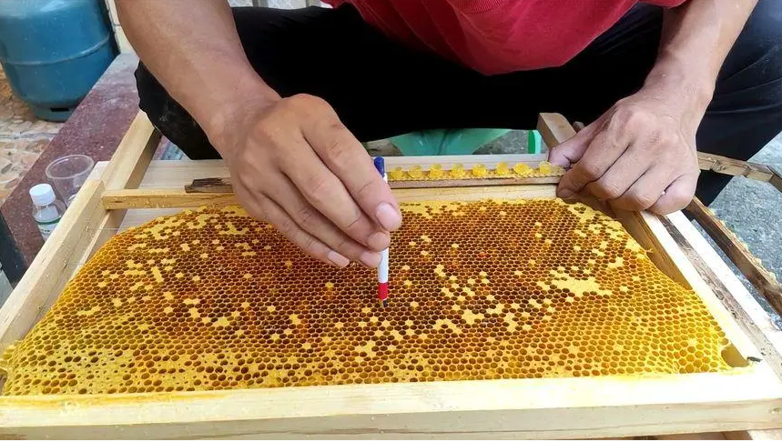 佳硒亚官网产品(亚佳集团)-硒宝网