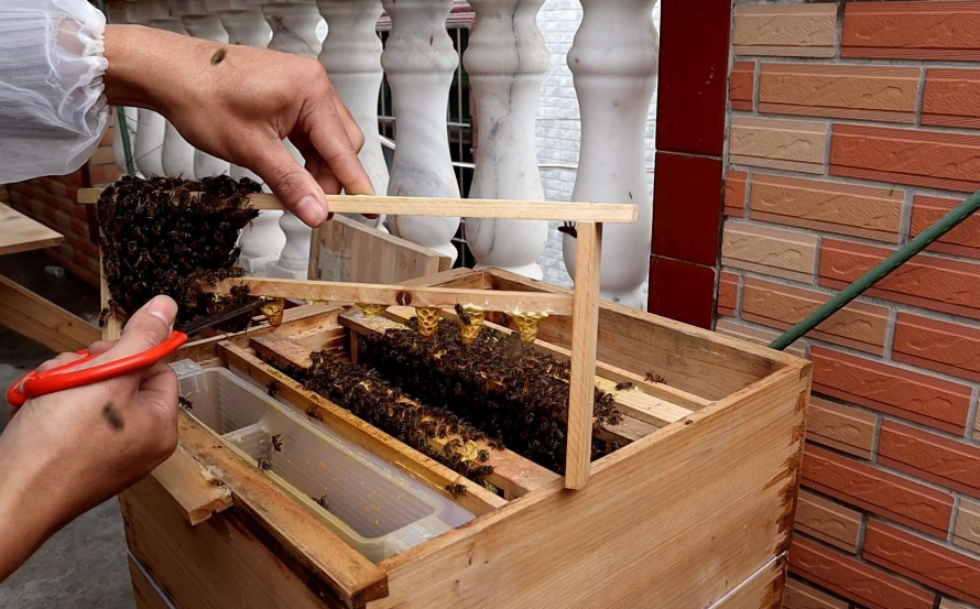 佳硒亚官网产品(亚佳集团)-硒宝网