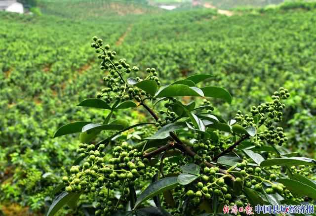 好硒农产品颁奖(硒十大荣誉)-硒宝网