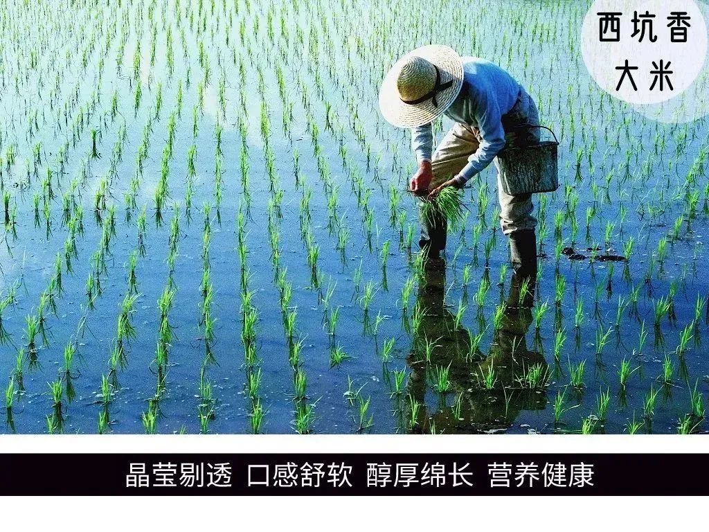 华硒生态农产品（富硒生态农业）-硒宝网