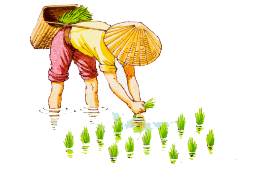 华硒生态农产品（富硒生态农业）-硒宝网