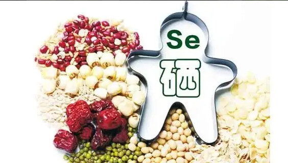 纳米硒与农产品（纳米硒生产厂家）-硒宝网