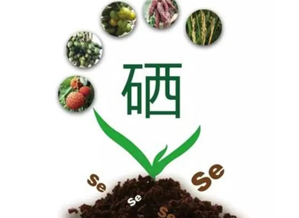 纳米硒与农产品（纳米硒生产厂家）-硒宝网