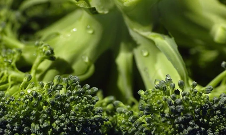 富含硒的海产品（富含海产品硒的有哪些）-硒宝网