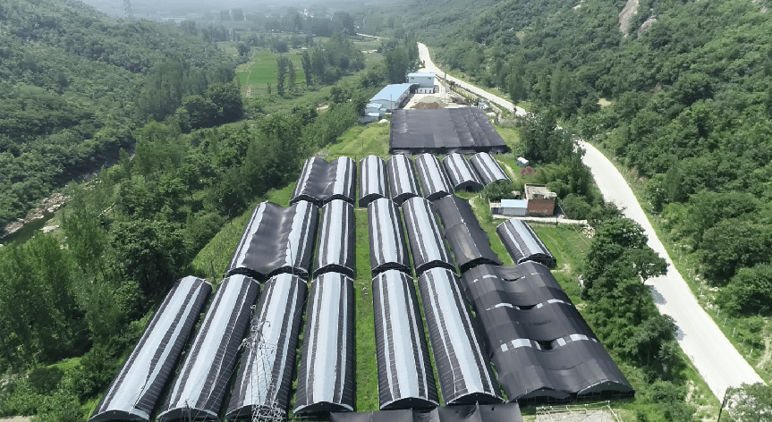 种植含硒农产品(农产品硒含量标准)-硒宝网