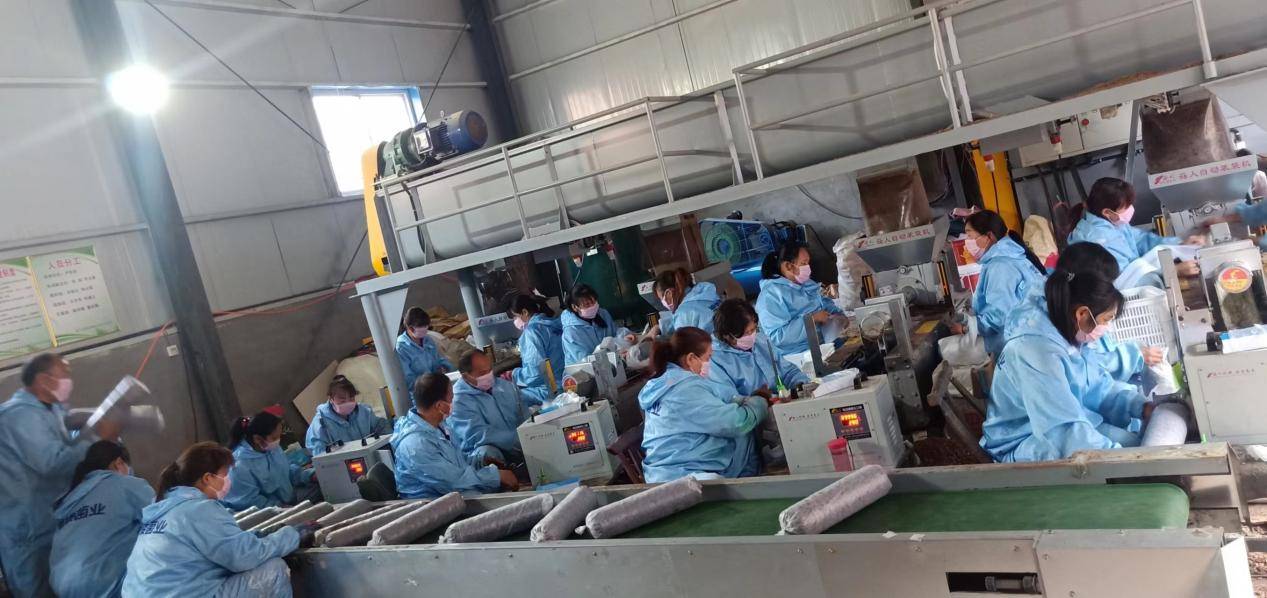 种植含硒农产品(农产品硒含量标准)-硒宝网