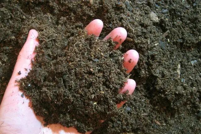 富含硒的海产品(富含海产品硒含量高吗)-硒宝网