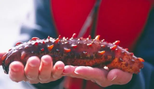 富含硒的海产品(富含海产品硒含量高吗)-硒宝网