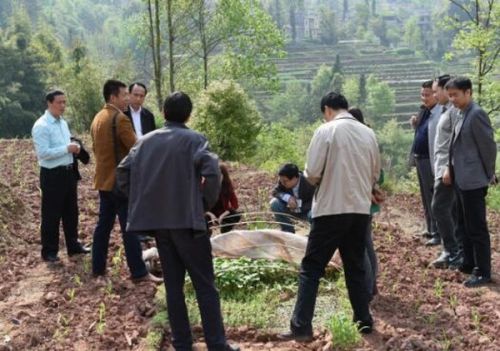 华中富硒农产品(中农富硒科技有限公司)-硒宝网