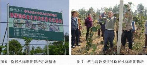 华中富硒农产品(中农富硒科技有限公司)-硒宝网