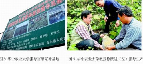 华中富硒农产品(中农富硒科技有限公司)-硒宝网